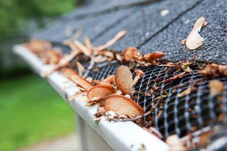 Do I Need Gutter Guards? Here's What You Should Consider